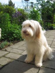 Chloe 07.05.2011